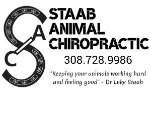 Staab Chiropractor NBR